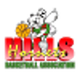 希尔斯黄蜂女篮 logo